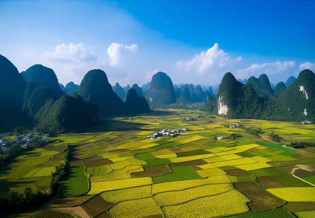 智慧農業補貼政策文件(智慧農業扶持政策)